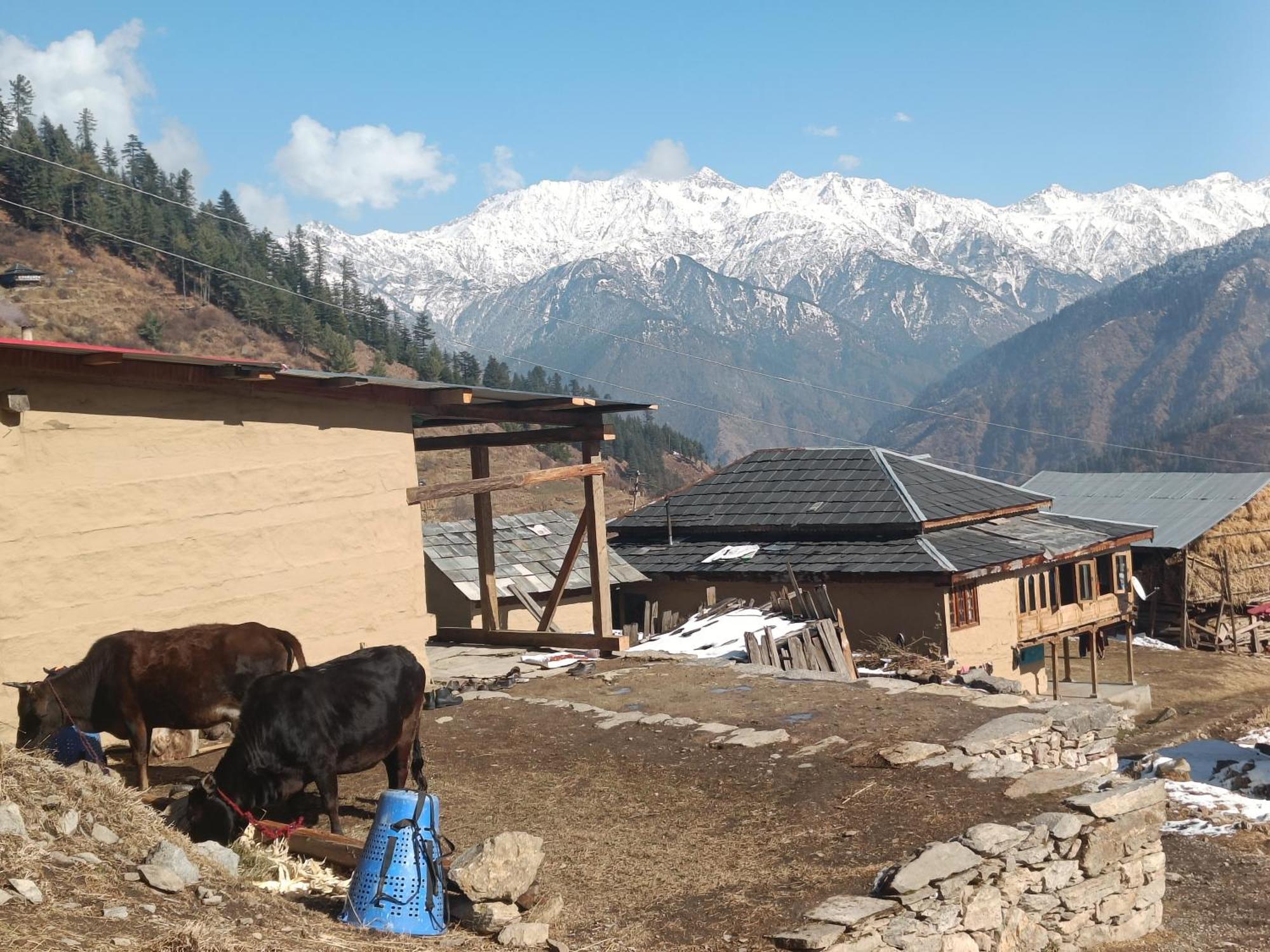 Trimounts-A Boutique Hotel & Wellnes Center In Tirthan Valley Banjar Экстерьер фото
